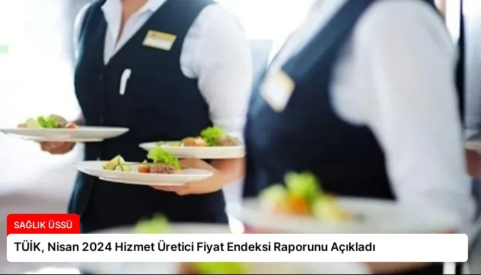 TÜİK, Nisan 2024 Hizmet Üretici Fiyat Endeksi Raporunu Açıkladı