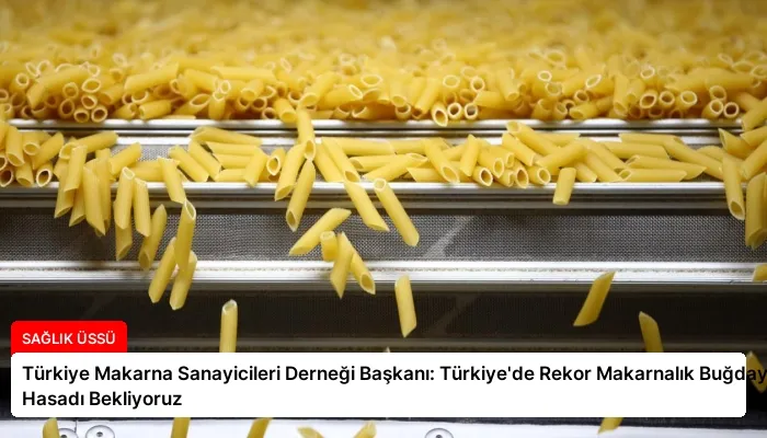 Türkiye Makarna Sanayicileri Derneği Başkanı: Türkiye’de Rekor Makarnalık Buğday Hasadı Bekliyoruz