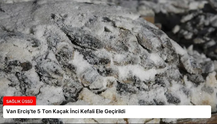 Van Erciş’te 5 Ton Kaçak İnci Kefali Ele Geçirildi