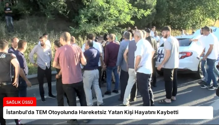 İstanbul’da TEM Otoyolunda Hareketsiz Yatan Kişi Hayatını Kaybetti