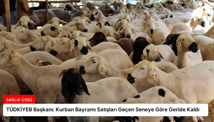 TÜDKİYEB Başkanı: Kurban Bayramı Satışları Geçen Seneye Göre Geride Kaldı