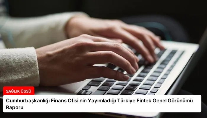 Cumhurbaşkanlığı Finans Ofisi’nin Yayımladığı Türkiye Fintek Genel Görünümü Raporu