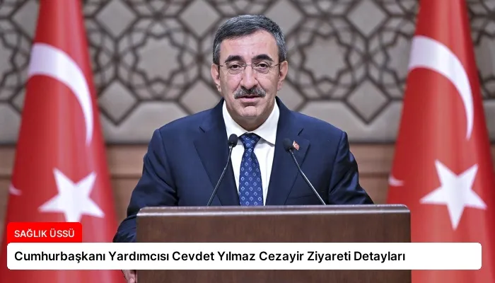 Cumhurbaşkanı Yardımcısı Cevdet Yılmaz Cezayir Ziyareti Detayları