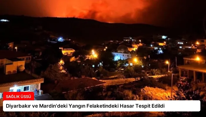 Diyarbakır ve Mardin’deki Yangın Felaketindeki Hasar Tespit Edildi