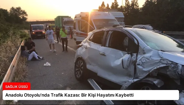 Anadolu Otoyolu’nda Trafik Kazası: Bir Kişi Hayatını Kaybetti