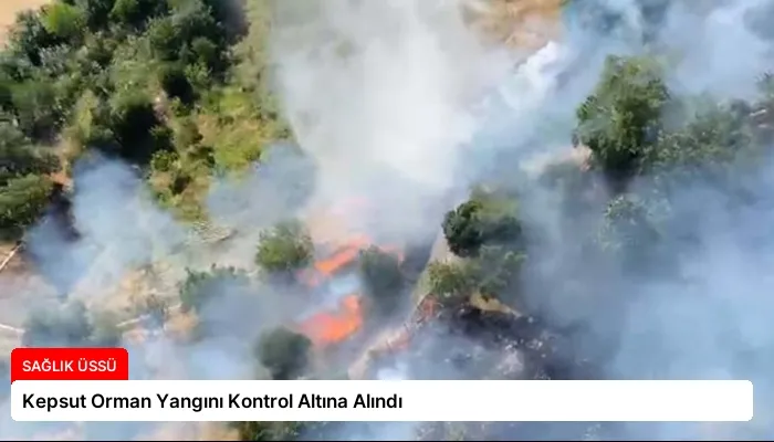 Kepsut Orman Yangını Kontrol Altına Alındı