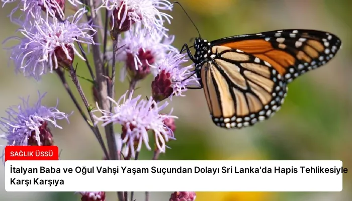 İtalyan Baba ve Oğul Vahşi Yaşam Suçundan Dolayı Sri Lanka’da Hapis Tehlikesiyle Karşı Karşıya
