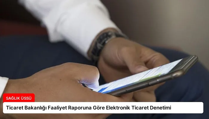 Ticaret Bakanlığı Faaliyet Raporuna Göre Elektronik Ticaret Denetimi