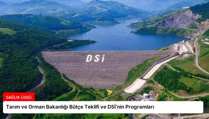 Tarım ve Orman Bakanlığı Bütçe Teklifi ve DSİ’nin Programları