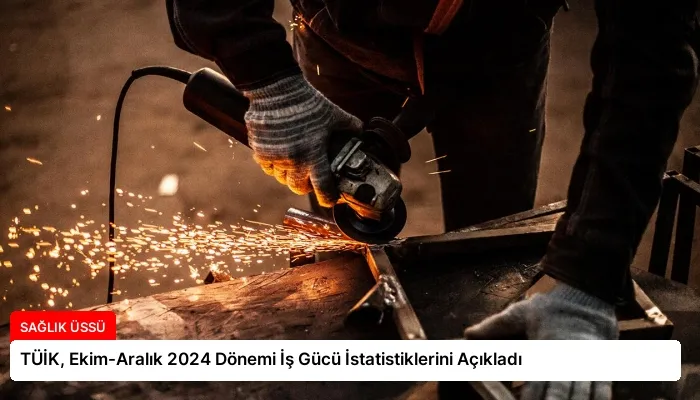 TÜİK, Ekim-Aralık 2024 Dönemi İş Gücü İstatistiklerini Açıkladı