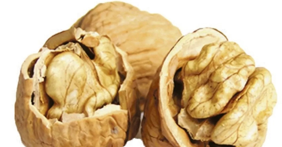 Rüyada Ceviz Toplamak Ne Anlama Gelir? | İslami ve Psikolojik Yorumlar