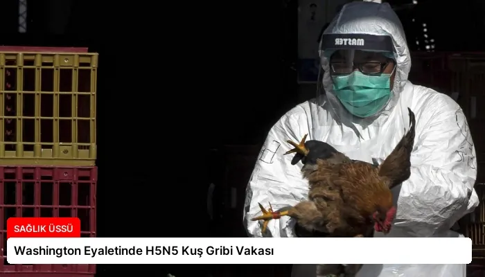 Washington Eyaletinde H5N5 Kuş Gribi Vakası