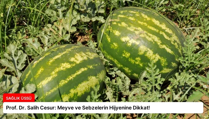 Prof. Dr. Salih Cesur: Meyve ve Sebzelerin Hijyenine Dikkat!