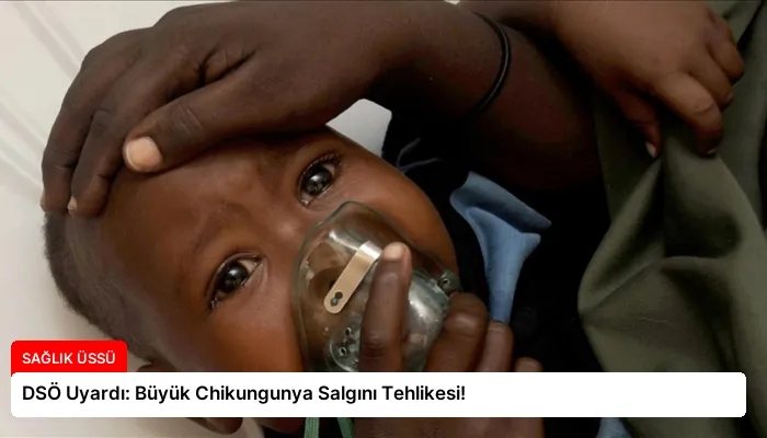 DSÖ Uyardı: Büyük Chikungunya Salgını Tehlikesi!