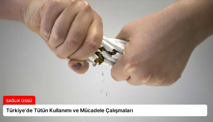 Türkiye’de Tütün Kullanımı ve Mücadele Çalışmaları