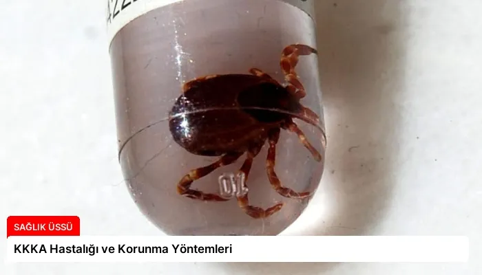KKKA Hastalığı ve Korunma Yöntemleri