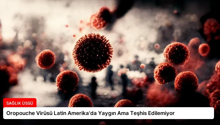 Oropouche Virüsü Latin Amerika’da Yaygın Ama Teşhis Edilemiyor