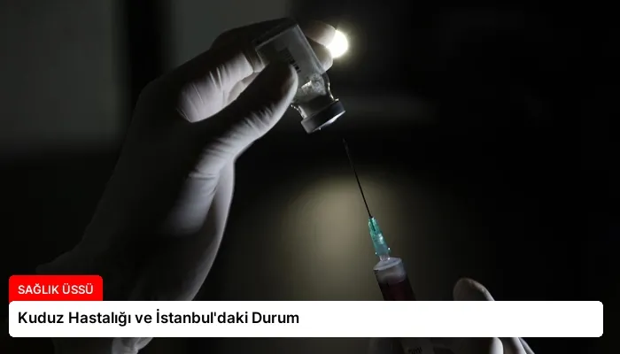 Kuduz Hastalığı ve İstanbul’daki Durum