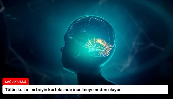 Tütün kullanımı beyin korteksinde incelmeye neden oluyor