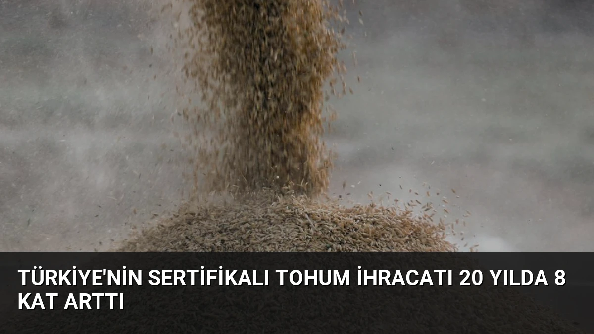 Türkiye’nin Sertifikalı Tohum İhracatı 20 Yılda 8 Kat Arttı