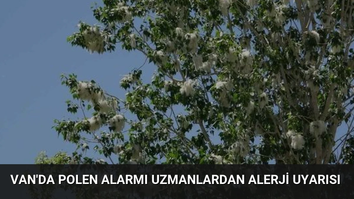 Van’da Polen Alarmı Uzmanlardan Alerji Uyarısı