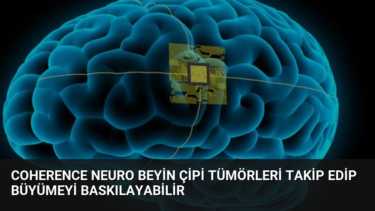 Coherence Neuro Beyin Çipi Tümörleri Takip Edip Büyümeyi Baskılayabilir