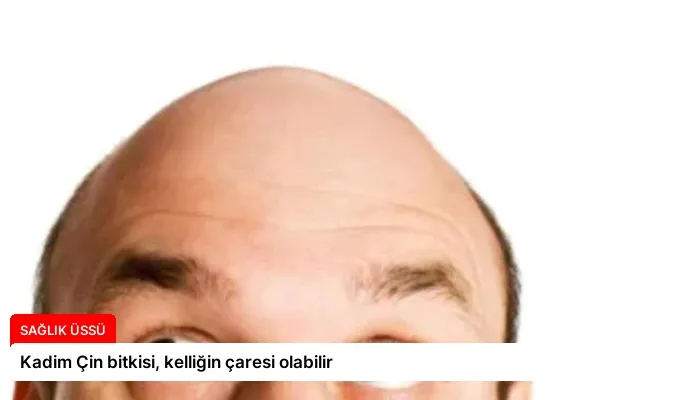 Kadim Çin bitkisi, kelliğin çaresi olabilir