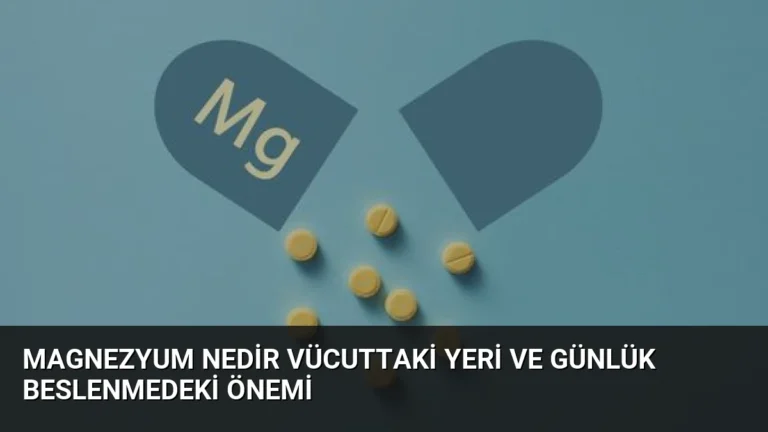 Magnezyum Nedir Vücuttaki Yeri ve Günlük Beslenmedeki Önemi