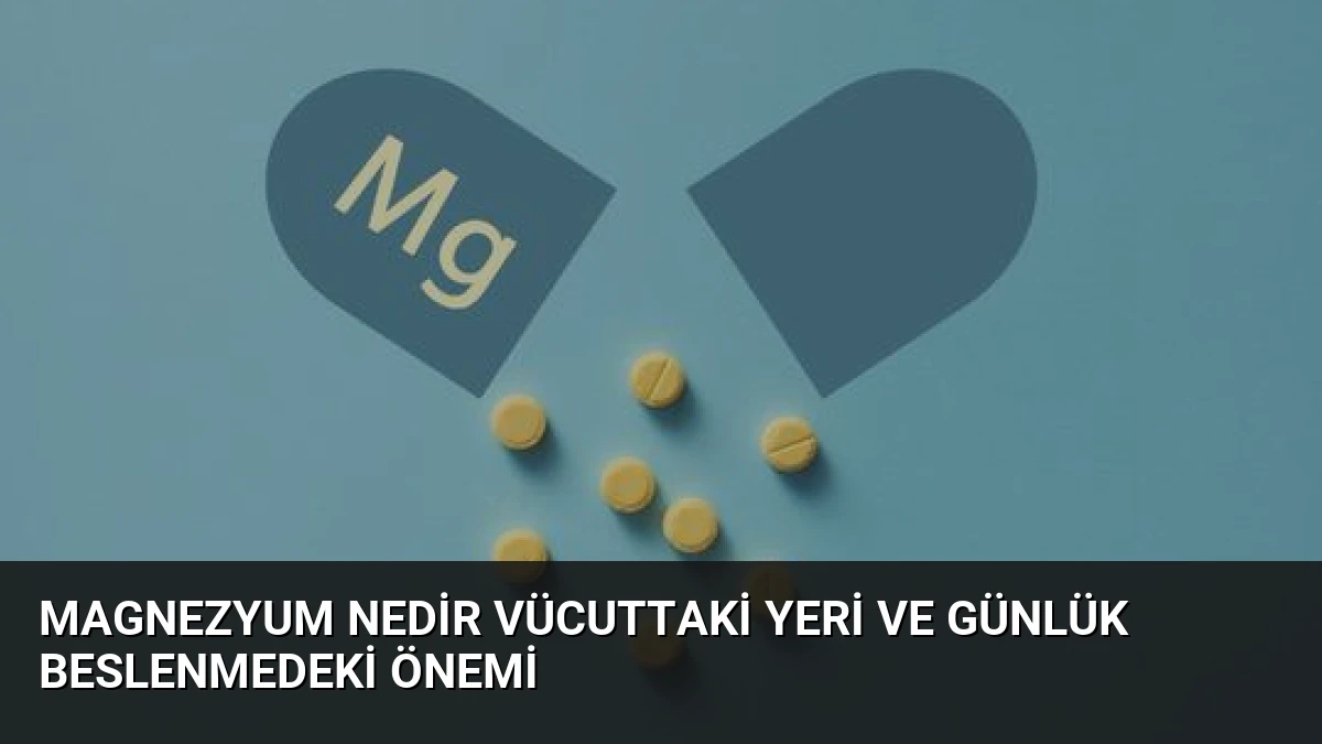 Magnezyum Nedir Vücuttaki Yeri ve Günlük Beslenmedeki Önemi