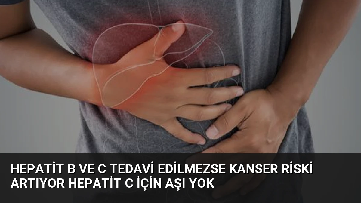 Hepatit B ve C Tedavi Edilmezse Kanser Riski Artıyor Hepatit C İçin Aşı Yok
