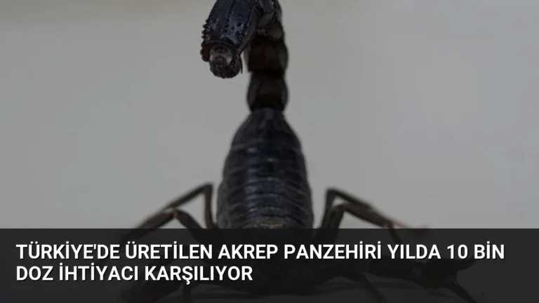 Türkiye’de Üretilen Akrep Panzehiri Yılda 10 Bin Doz İhtiyacı Karşılıyor