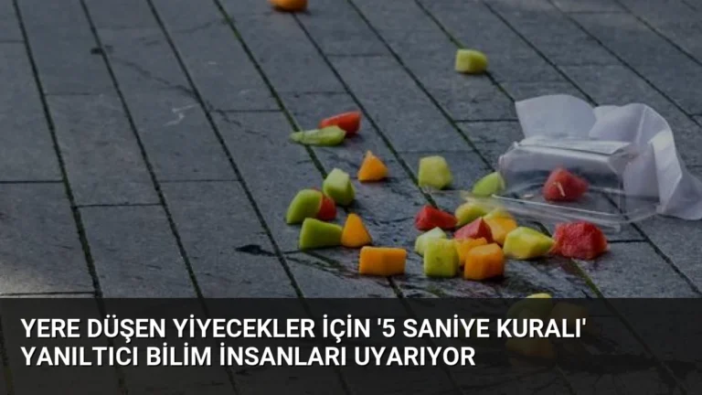 Yere Düşen Yiyecekler İçin ‘5 Saniye Kuralı’ Yanıltıcı Bilim İnsanları Uyarıyor