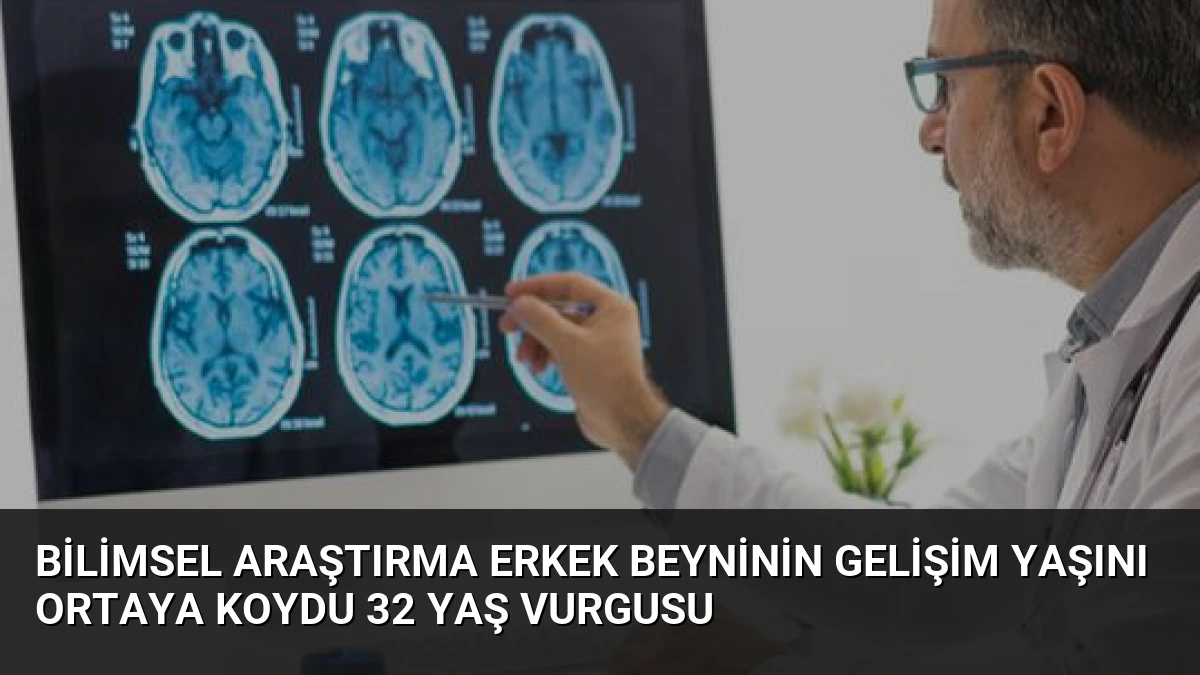 Bilimsel Araştırma Erkek Beyninin Gelişim Yaşını Ortaya Koydu 32 Yaş Vurgusu