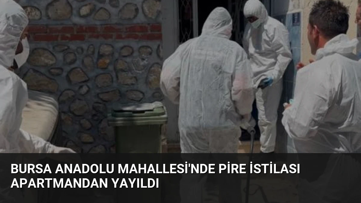 Bursa Anadolu Mahallesi’nde Pire İstilası Apartmandan Yayıldı