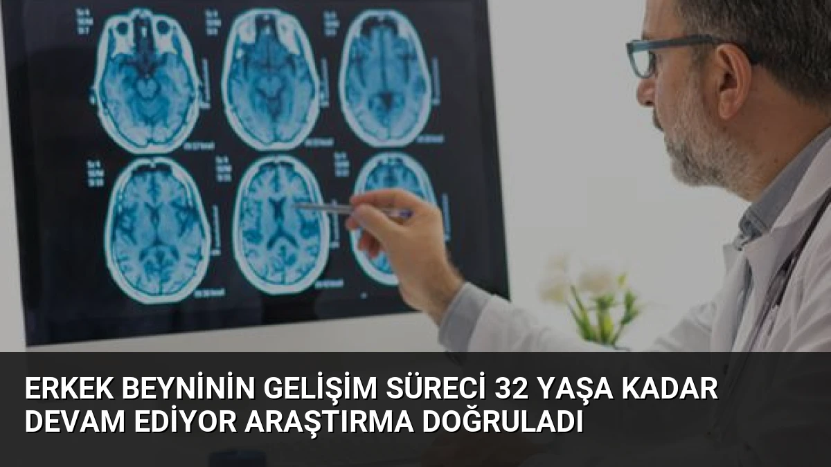 Erkek Beyninin Gelişim Süreci 32 Yaşa Kadar Devam Ediyor Araştırma Doğruladı