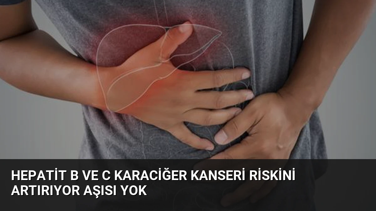 Hepatit B ve C Karaciğer Kanseri Riskini Artırıyor Aşısı Yok