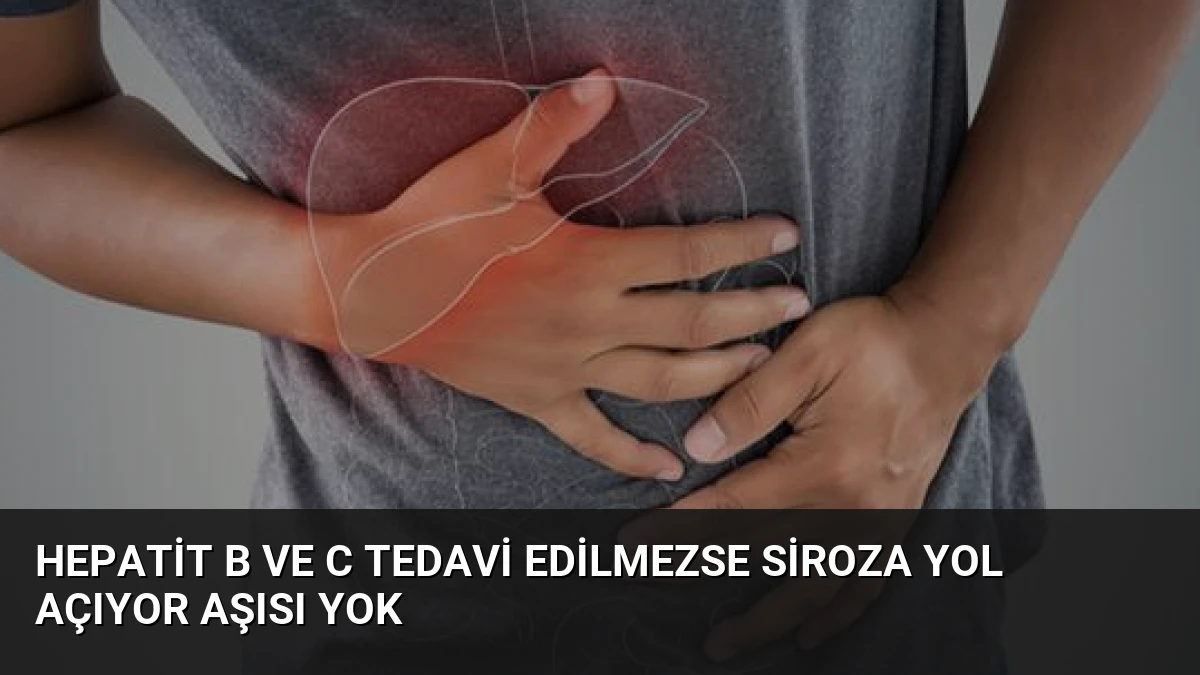 Hepatit B ve C Tedavi Edilmezse Siroza Yol Açıyor Aşısı Yok