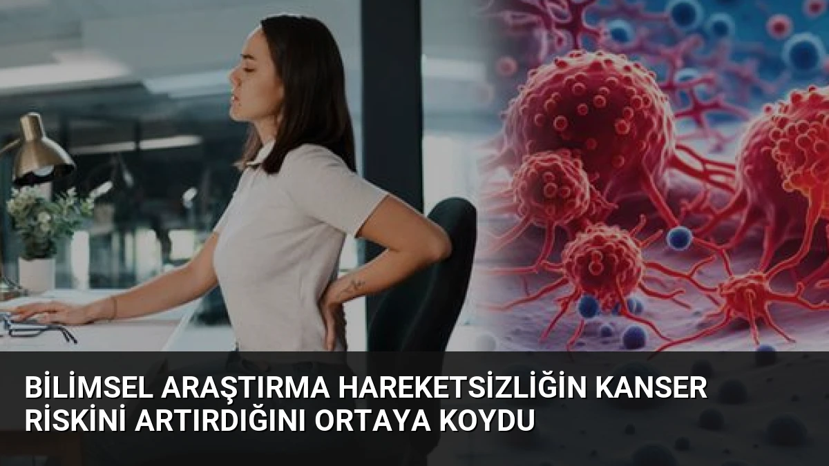 Bilimsel Araştırma Hareketsizliğin Kanser Riskini Artırdığını Ortaya Koydu
