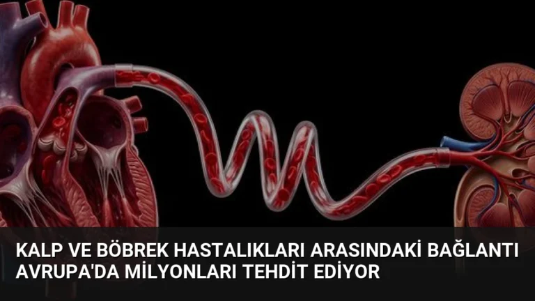 Kalp ve Böbrek Hastalıkları Arasındaki Bağlantı Avrupa’da Milyonları Tehdit Ediyor
