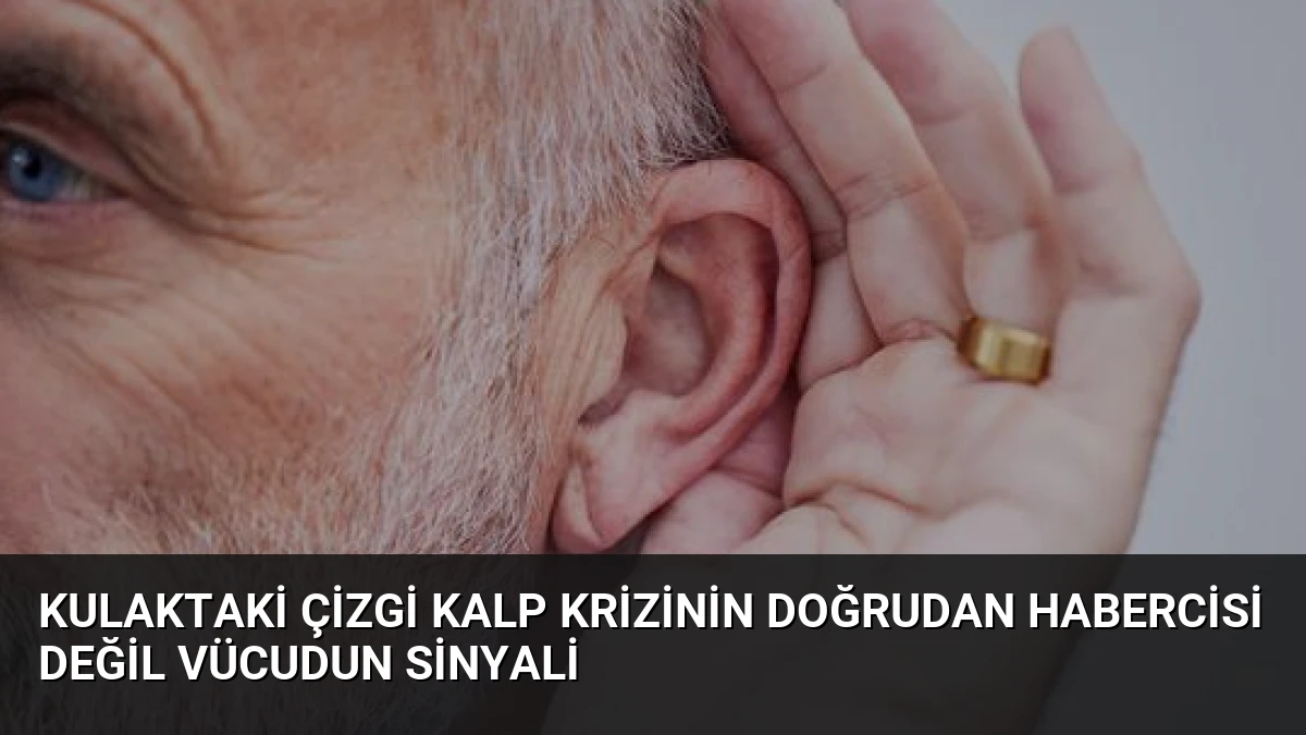 Kulaktaki Çizgi Kalp Krizinin Doğrudan Habercisi Değil Vücudun Sinyali