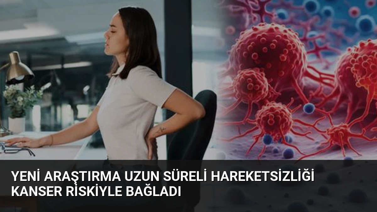 Yeni Araştırma Uzun Süreli Hareketsizliği Kanser Riskiyle Bağladı