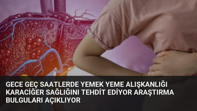 Gece Geç Saatlerde Yemek Yeme Alışkanlığı Karaciğer Sağlığını Tehdit Ediyor Araştırma Bulguları Açıklıyor