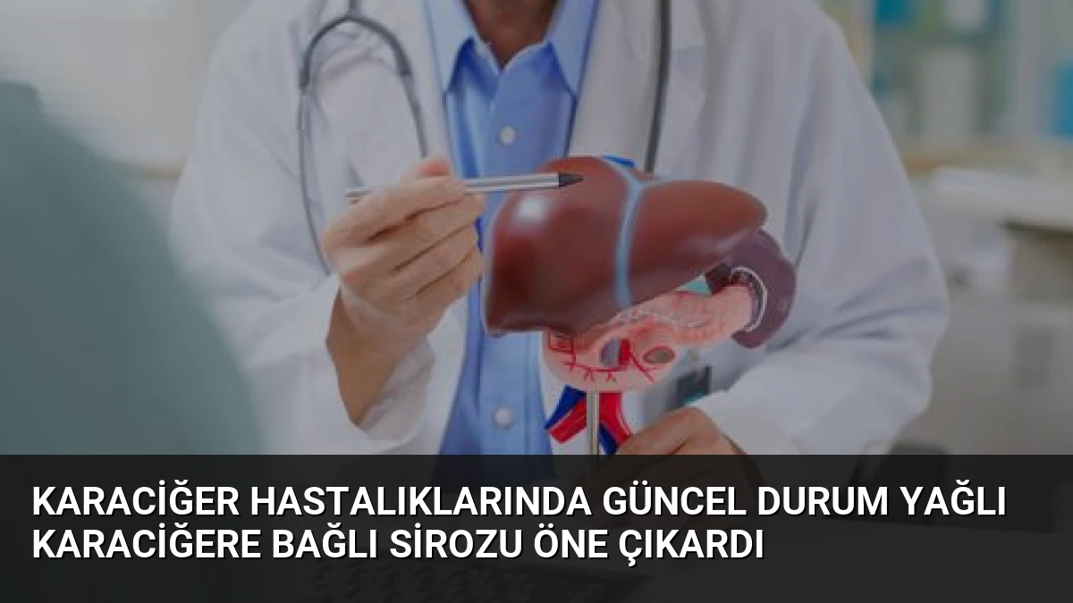 Karaciğer Hastalıklarında Güncel Durum Yağlı Karaciğere Bağlı Sirozu Öne Çıkardı