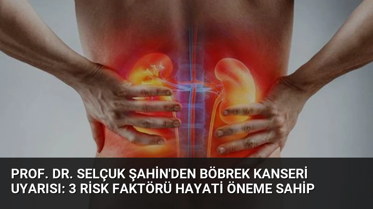 Prof. Dr. Selçuk Şahin’den Böbrek Kanseri Uyarısı: 3 Risk Faktörü Hayati Öneme Sahip