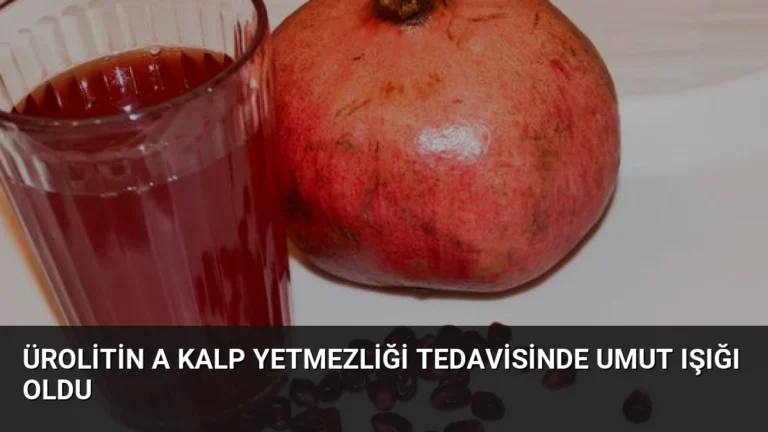 Ürolitin A Kalp Yetmezliği Tedavisinde Umut Işığı Oldu